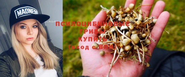 герыч Алзамай