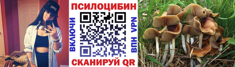 Псилоцибиновые грибы ЛСД  Аткарск 
